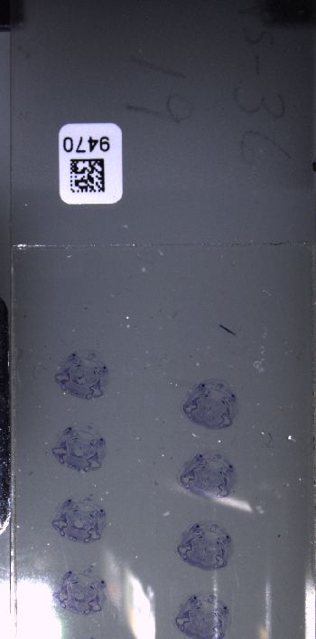 Media type: image; Special Collections 3102   shows specimen_part histological serial section;  Description: Whole slide scan, SC-3102, slide 19;